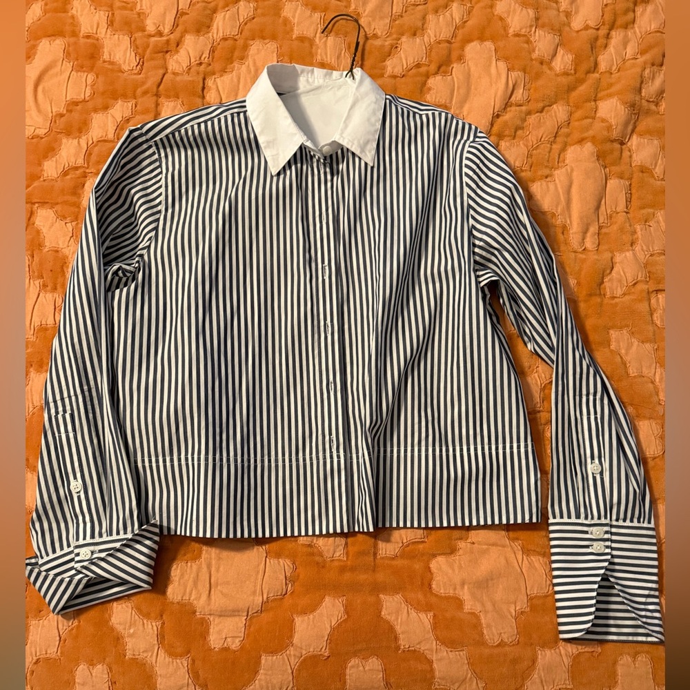 J. Crew Blue and White Striped Shirt